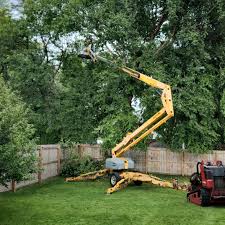 Best Hedge Trimming  in East Norwich, NY